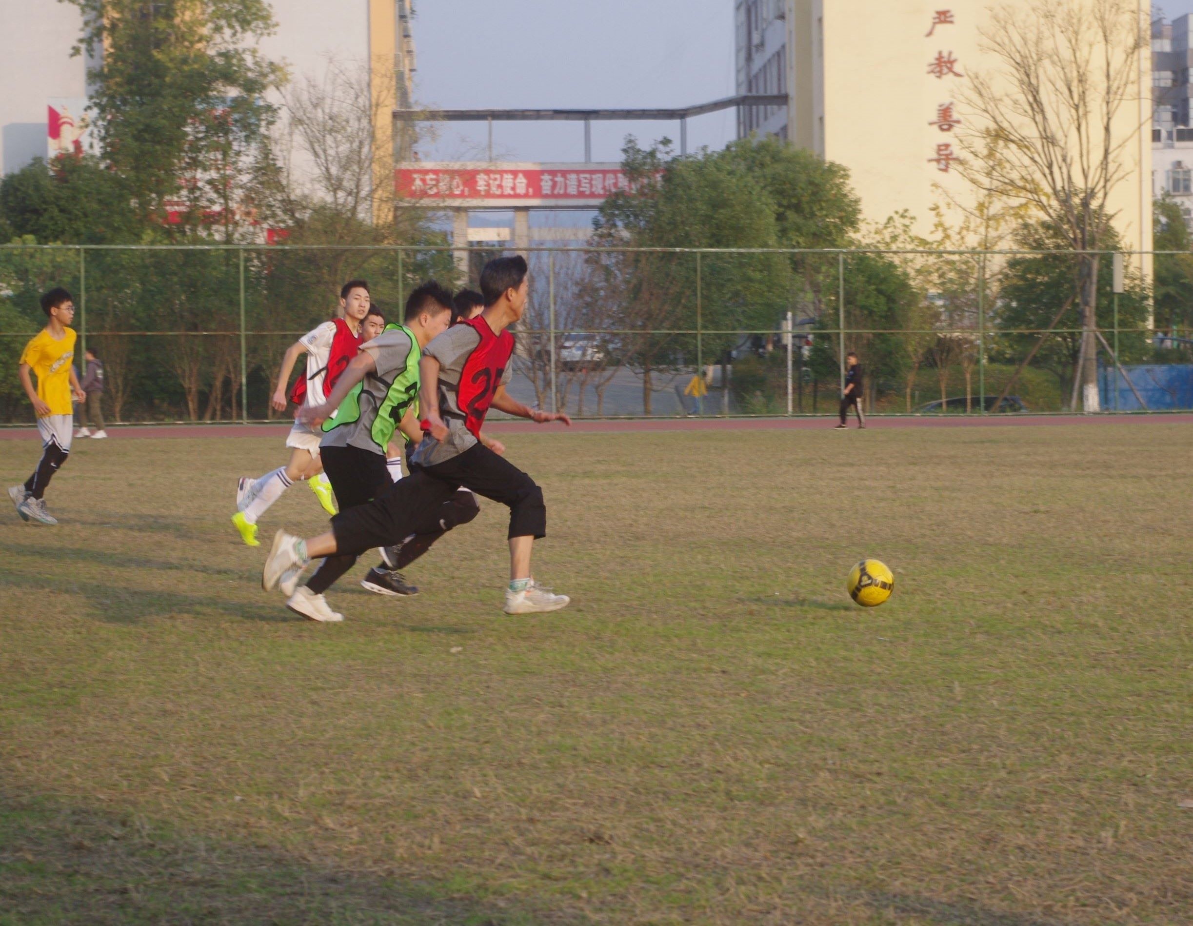 IMGP9369(1)(1).jpg