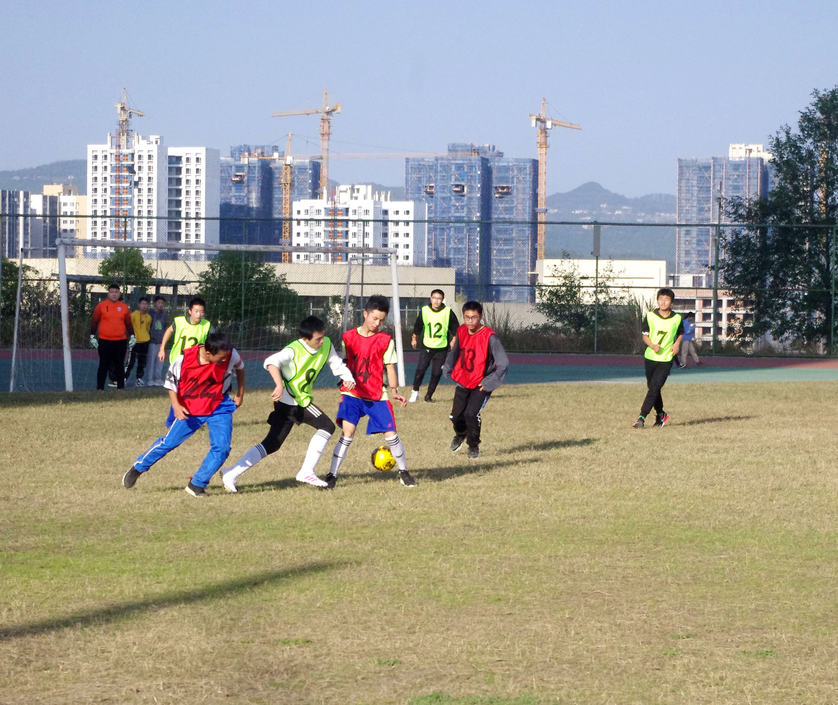 IMGP9289.JPG